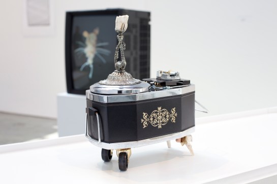 Boxette 2012 Liquor decanter music box, servo motors, arduino microcontrollers, sheep vertebrae and tooth, pewter swan ornament, brass chain, electronic components.