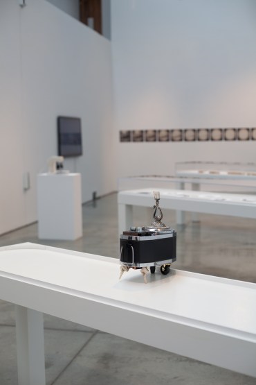 interstitium-13 copy