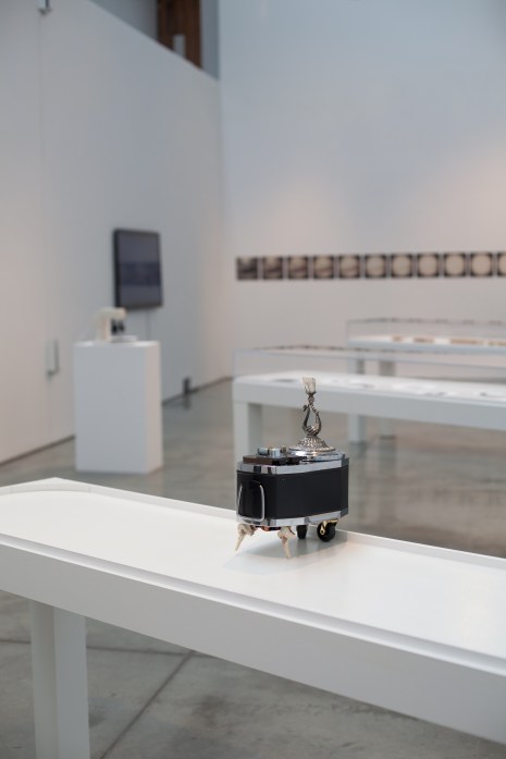 interstitium-13 copy