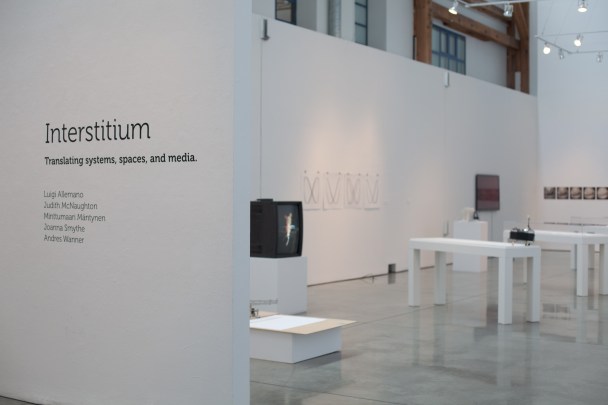 interstitium-16 copy